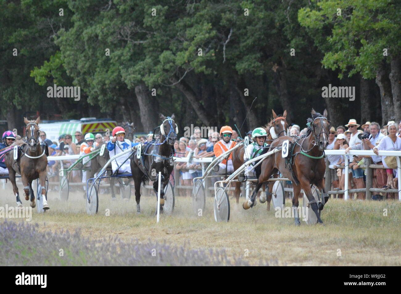 Pferderennbahn in Sault, Provence-Alpes-Côte d'Azur - Frankreich. 11. August 2019. Das einzige Pferd Rennen im Jahr Stockfoto