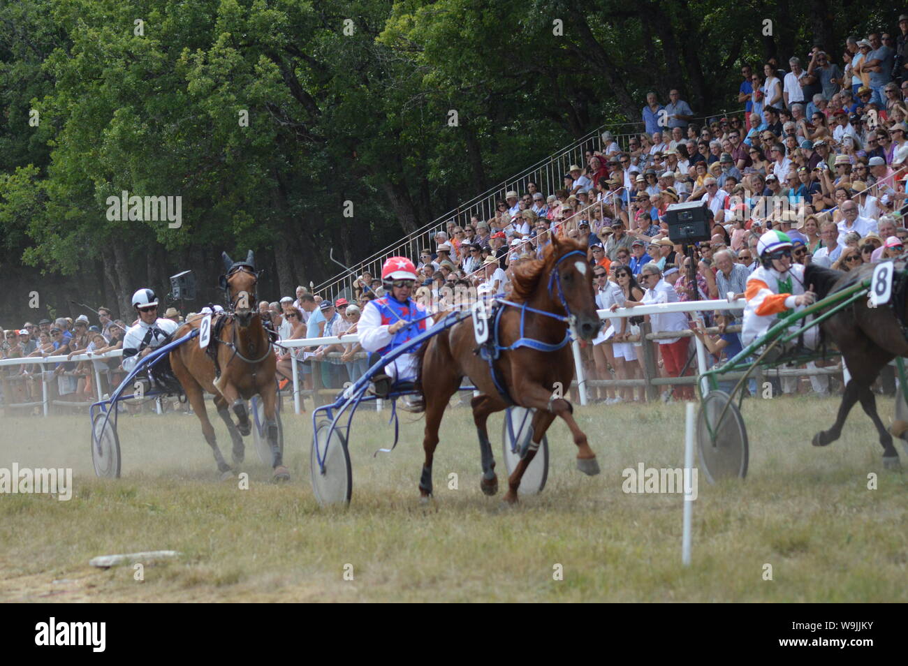 Pferderennbahn in Sault, Provence-Alpes-Côte d'Azur - Frankreich. 11. August 2019. Das einzige Pferd Rennen im Jahr Stockfoto