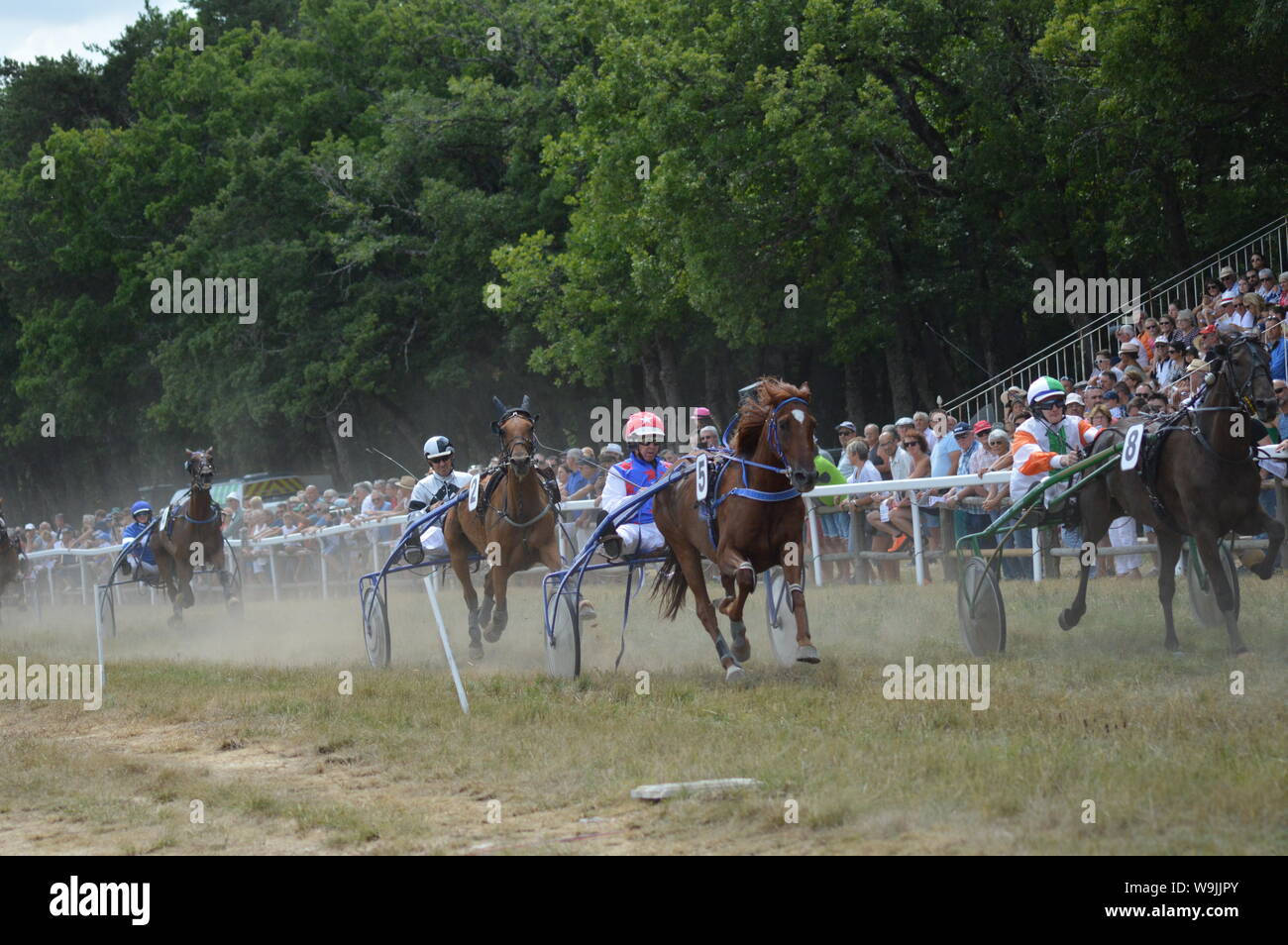 Pferderennbahn in Sault, Provence-Alpes-Côte d'Azur - Frankreich. 11. August 2019. Das einzige Pferd Rennen im Jahr Stockfoto