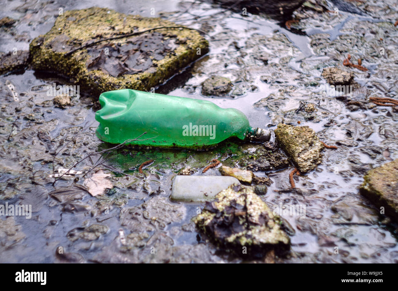 Plastikflaschen und andere Verunreinigungen in den Teich, Umweltverschmutzung Stockfoto