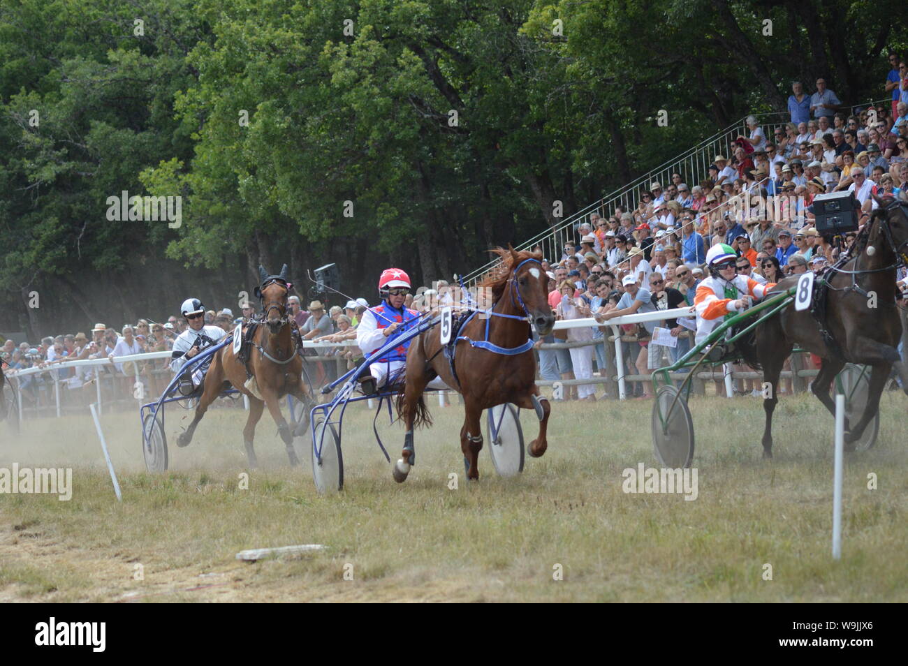 Pferderennbahn in Sault, Provence-Alpes-Côte d'Azur - Frankreich. 11. August 2019. Das einzige Pferd Rennen im Jahr Stockfoto