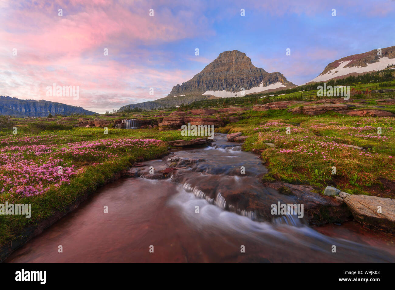 Wildblumen und alpine Stream unter Reynolds Berge bei Sonnenuntergang, Glacier National Park, Montana Stockfoto