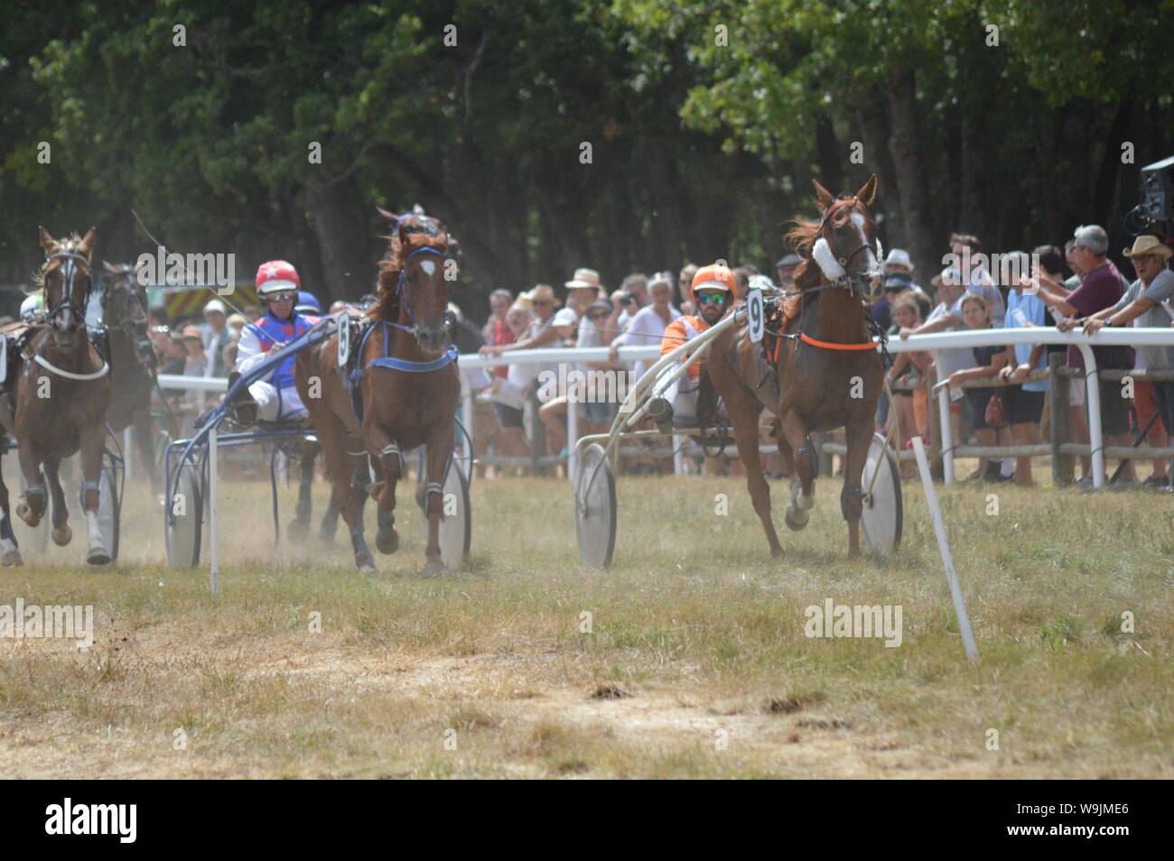 Pferderennbahn in Sault, Provence-Alpes-Côte d'Azur - Frankreich. 11. August 2019. Das einzige Pferd Rennen im Jahr Stockfoto