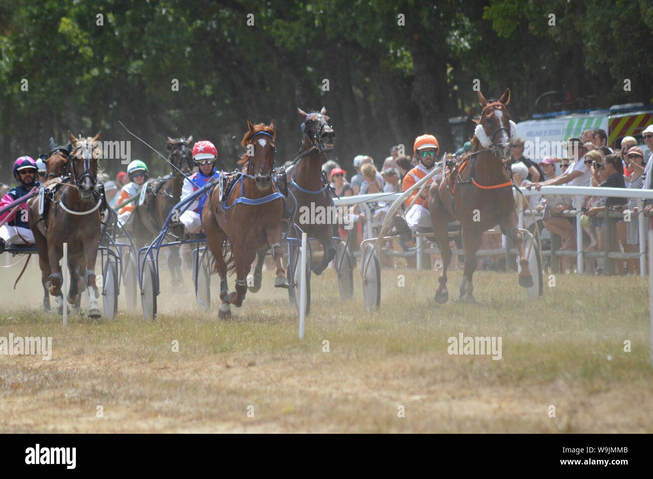 Pferderennbahn in Sault, Provence-Alpes-Côte d'Azur - Frankreich. 11. August 2019. Das einzige Pferd Rennen im Jahr Stockfoto