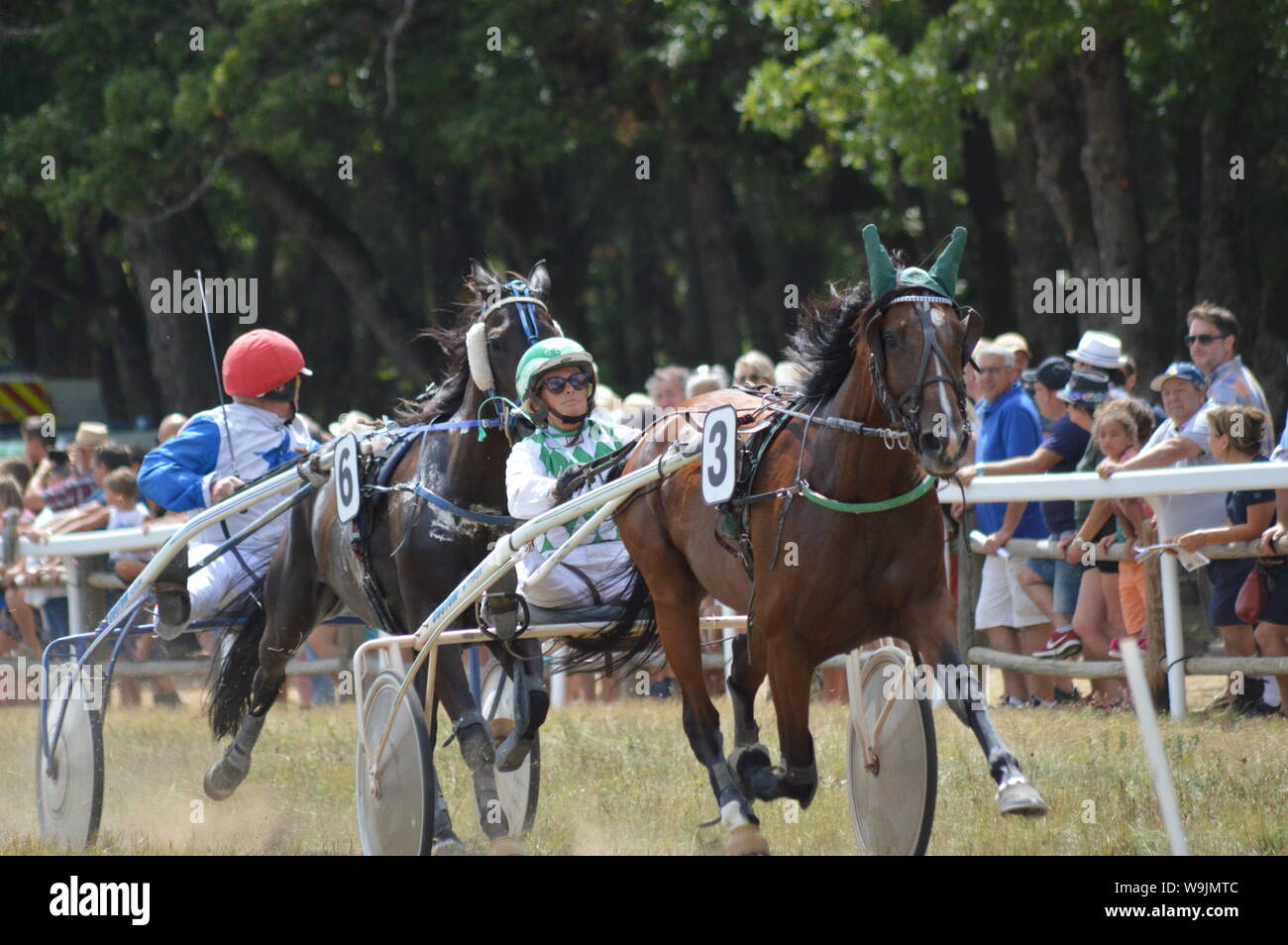 Pferderennbahn in Sault, Provence-Alpes-Côte d'Azur - Frankreich. 11. August 2019. Das einzige Pferd Rennen im Jahr Stockfoto