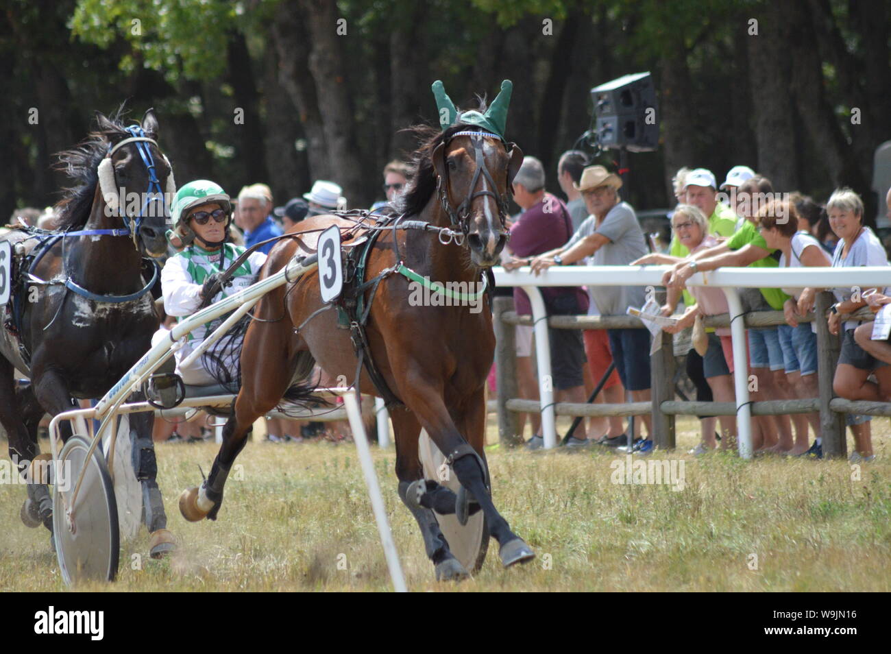 Pferderennbahn in Sault, Provence-Alpes-Côte d'Azur - Frankreich. 11. August 2019. Das einzige Pferd Rennen im Jahr Stockfoto