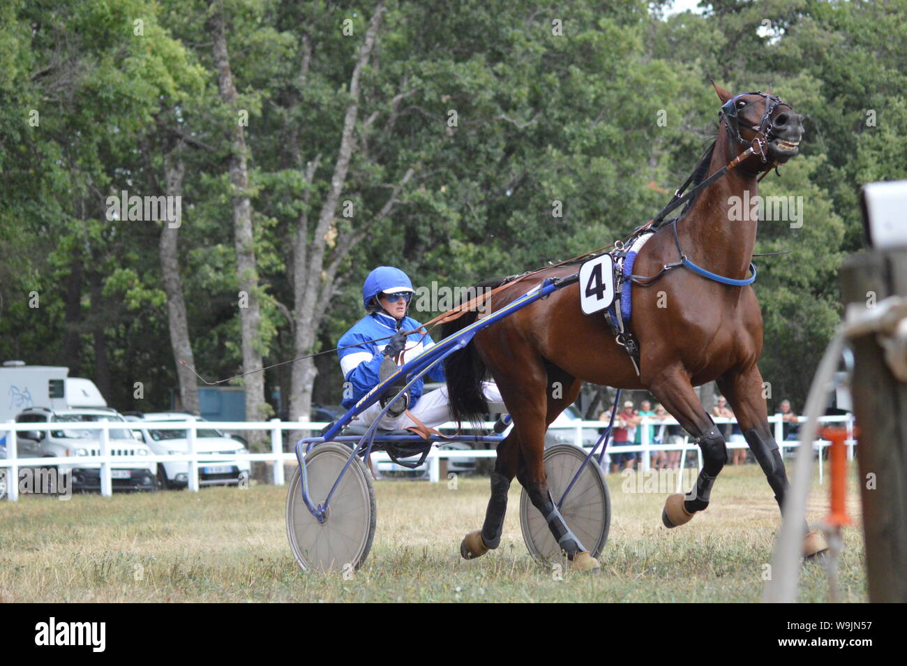 Pferderennbahn in Sault, Provence-Alpes-Côte d'Azur - Frankreich. 11. August 2019. Das einzige Pferd Rennen im Jahr Stockfoto