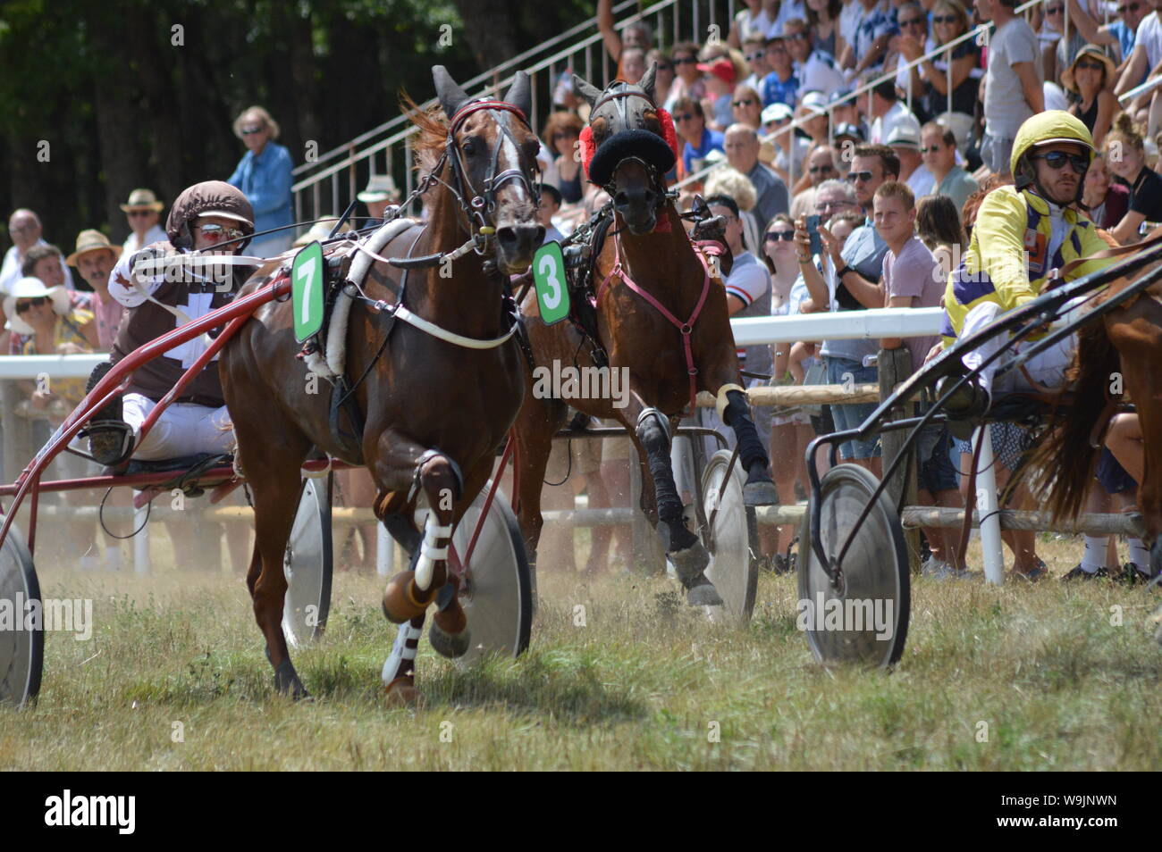 Pferderennbahn in Sault, Provence-Alpes-Côte d'Azur - Frankreich. 11. August 2019. Das einzige Pferd Rennen im Jahr Stockfoto