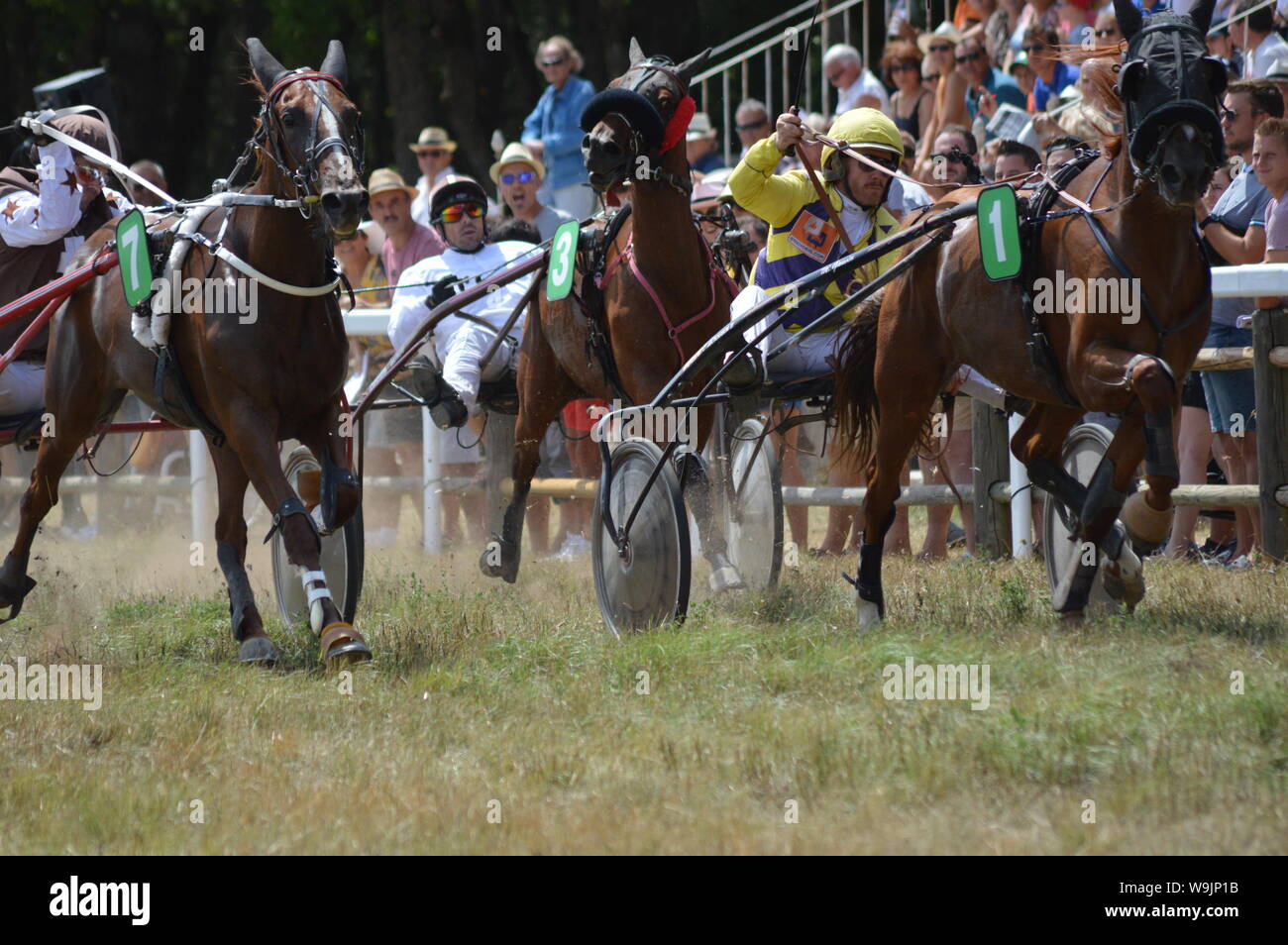 Pferderennbahn in Sault, Provence-Alpes-Côte d'Azur - Frankreich. 11. August 2019. Das einzige Pferd Rennen im Jahr Stockfoto