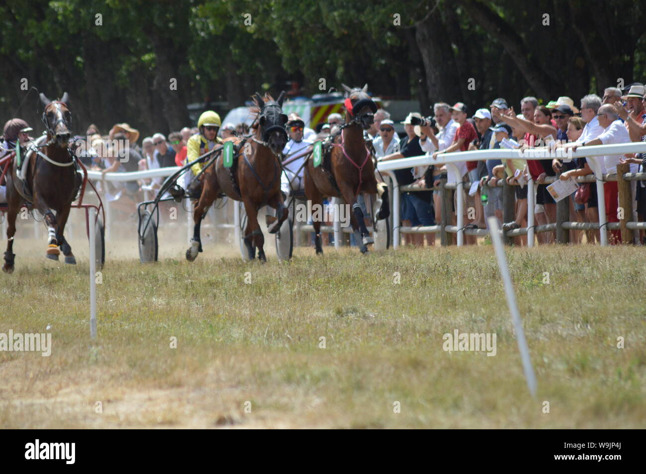 Pferderennbahn in Sault, Provence-Alpes-Côte d'Azur - Frankreich. 11. August 2019. Das einzige Pferd Rennen im Jahr Stockfoto