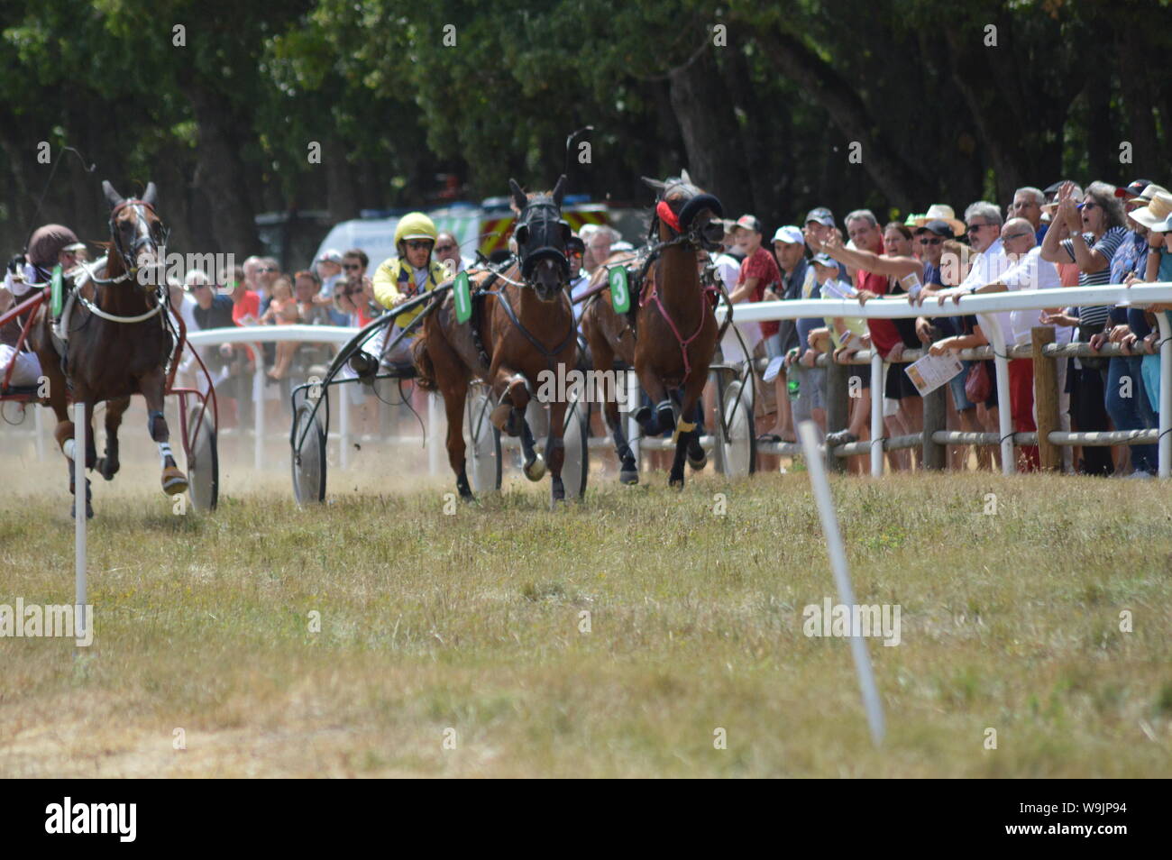 Pferderennbahn in Sault, Provence-Alpes-Côte d'Azur - Frankreich. 11. August 2019. Das einzige Pferd Rennen im Jahr Stockfoto