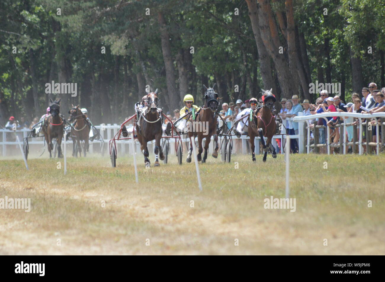 Pferderennbahn in Sault, Provence-Alpes-Côte d'Azur - Frankreich. 11. August 2019. Das einzige Pferd Rennen im Jahr Stockfoto