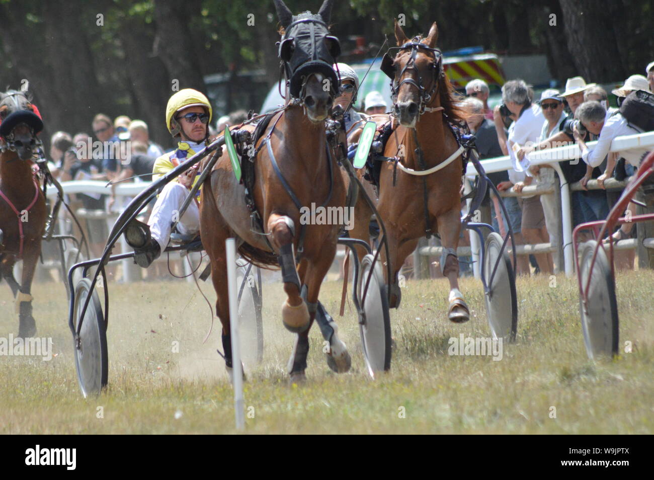 Pferderennbahn in Sault, Provence-Alpes-Côte d'Azur - Frankreich. 11. August 2019. Das einzige Pferd Rennen im Jahr Stockfoto