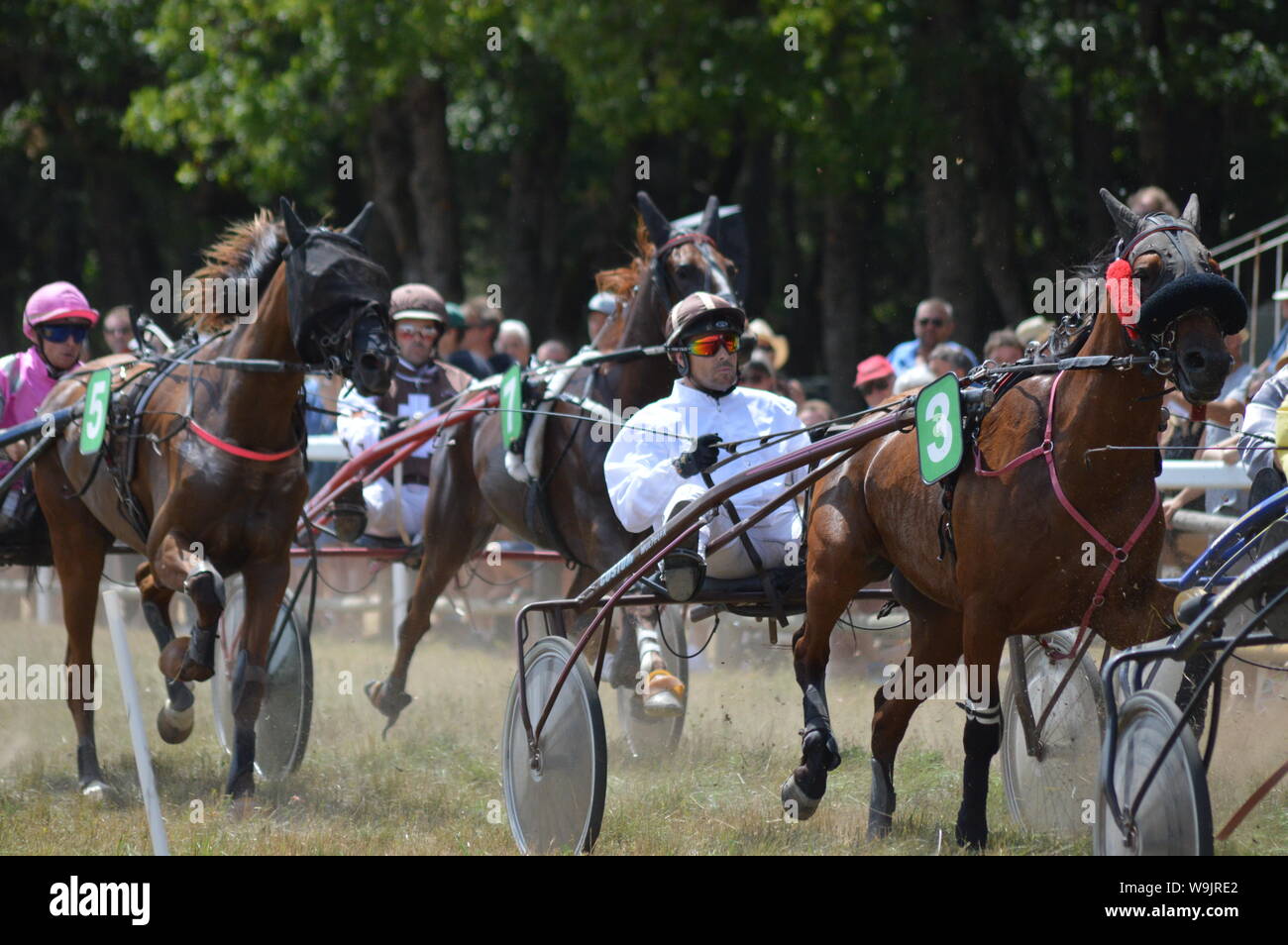 Pferderennbahn in Sault, Provence-Alpes-Côte d'Azur - Frankreich. 11. August 2019. Das einzige Pferd Rennen im Jahr Stockfoto