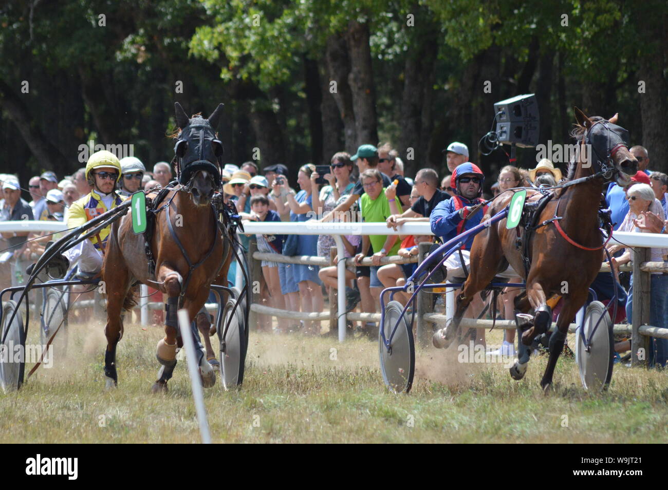 Pferderennbahn in Sault, Provence-Alpes-Côte d'Azur - Frankreich. 11. August 2019. Das einzige Pferd Rennen im Jahr Stockfoto