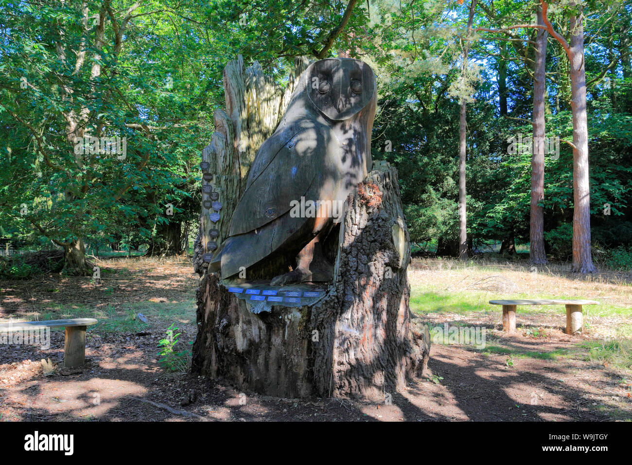 Der Baum des Lebens Skulptur, sandige Heide, Sandy, Bedfordshire, England Stockfoto