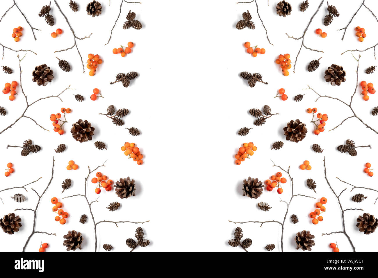Herbst Komposition. Muster aus berry Rowan, Kegel auf weißem Hintergrund. Herbst, Herbst, Halloween, Thanksgiving Tag Konzept. Flach, Ansicht von oben, cop Stockfoto