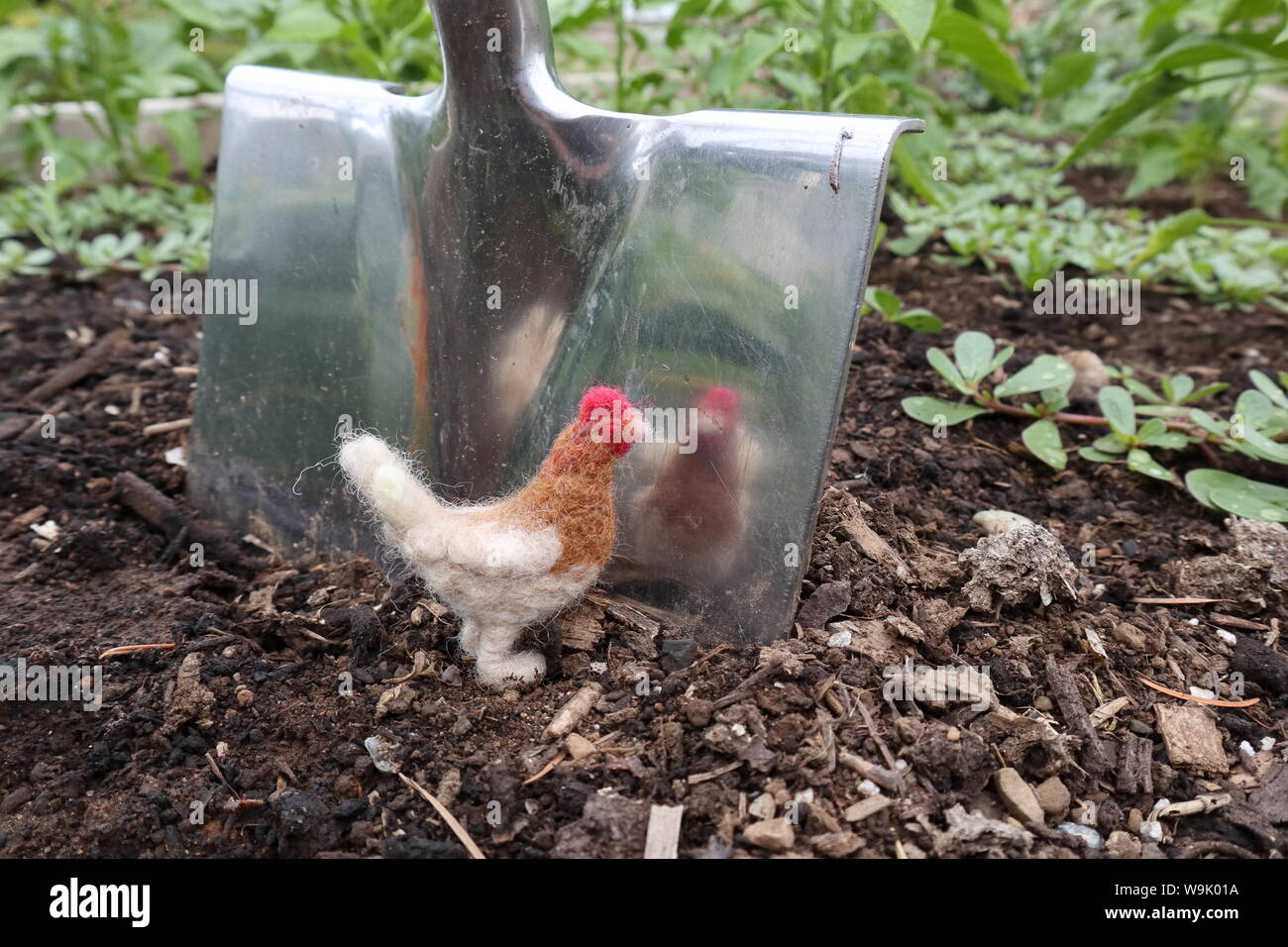 Permakultur Garten Stockfotos und bilder Kaufen Alamy