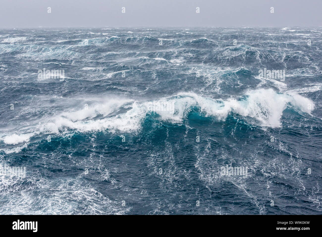 Gale Force Westwinde bauen große Wellen in den Polarregionen der Drake-Passage, Antarktis, Stockfoto