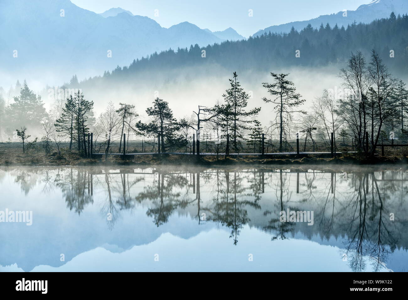 Die Sonne: Sie erhellt der Nebel steigt aus den Teichen des Naturparks von Pian di Gembro früh am Morgen, Lombardei, Italien, Europa Stockfoto