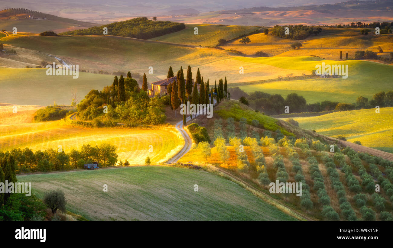 Klassische toskanische Landschaft bei Sonnenaufgang, Toskana, Italien, Europa Stockfoto