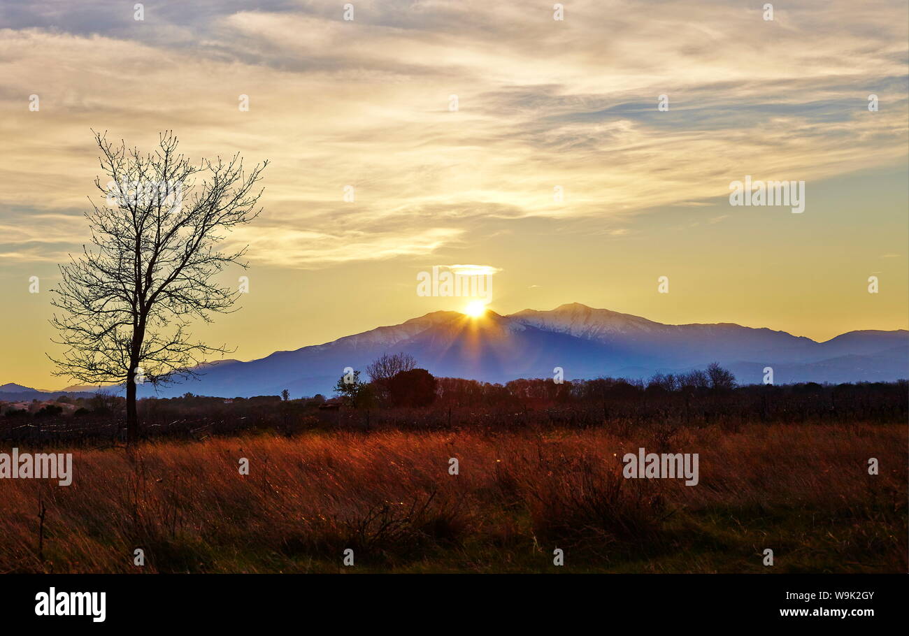Sonnenuntergang über Mount Canigou, Languedoc-Roussillon, Pyrenäen Orientale, Frankreich, Europa Stockfoto