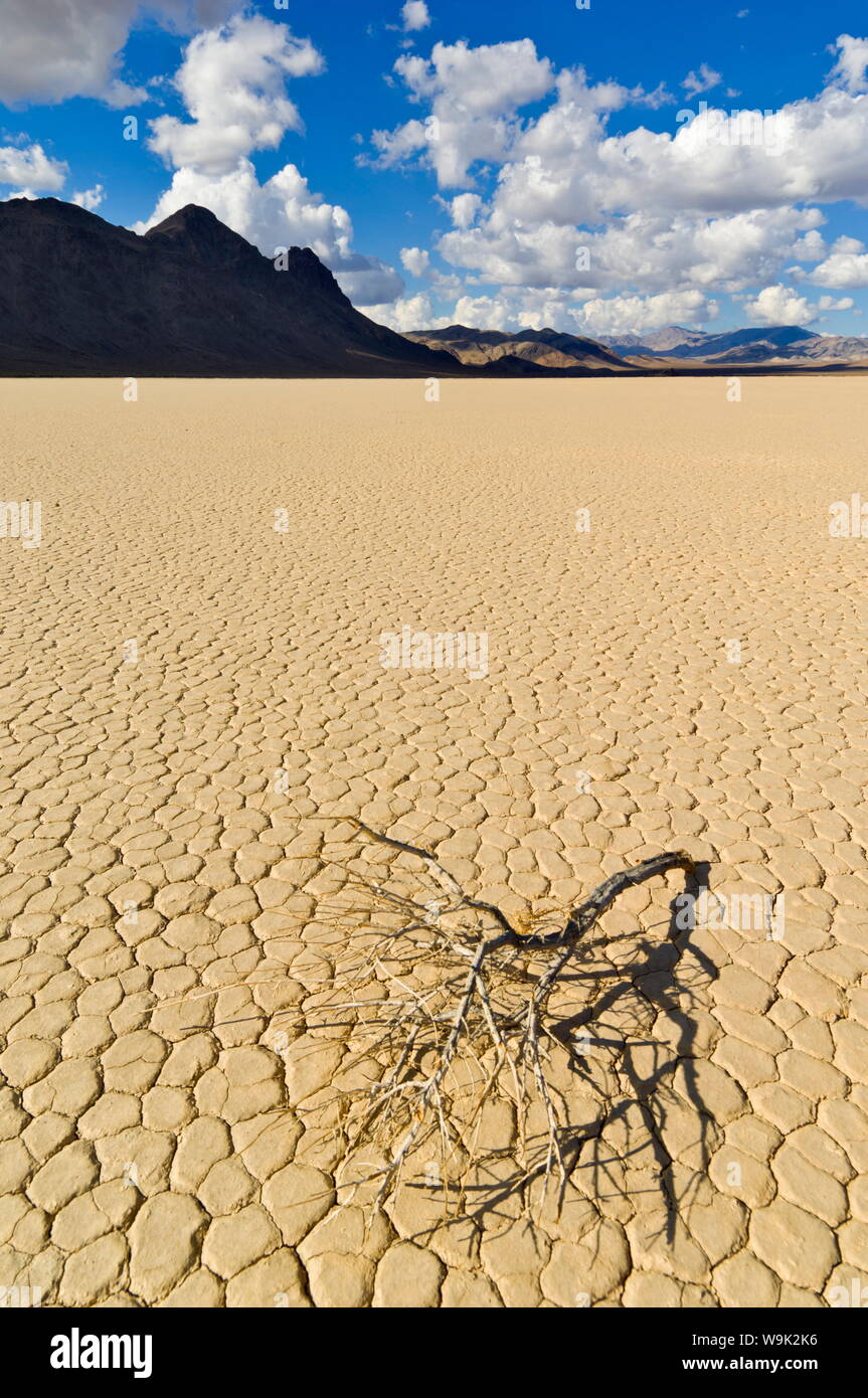 Die Haupttribüne in Rennstrecke Tal, ein ausgetrocknetes Flußbett für seine Sliding Rocks auf dem Racetrack Playa, Death Valley National Park, Kalifornien, USA Stockfoto