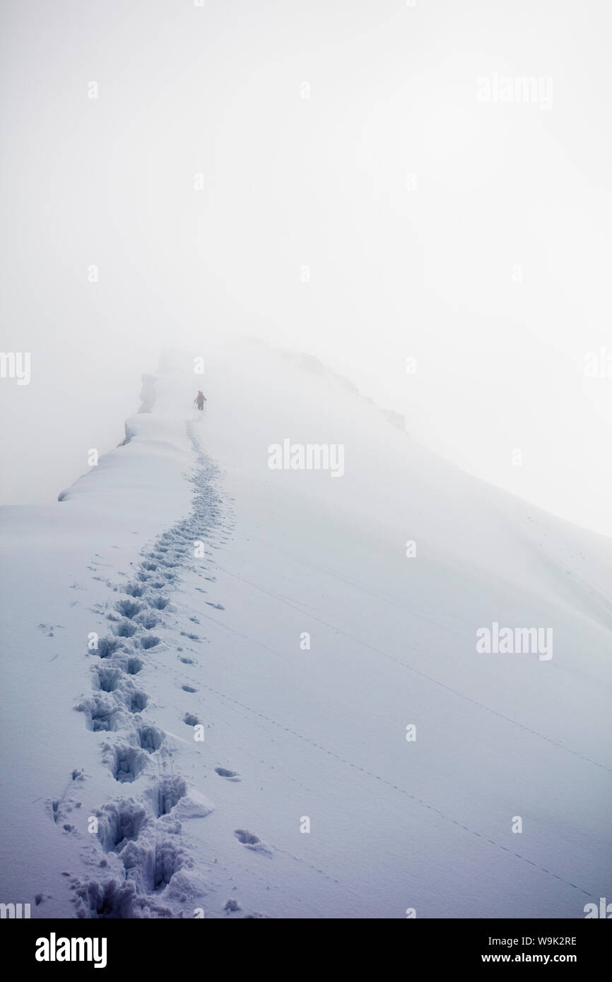 Kletterer auf die Kuppeln des Miages, 3673 m, Chamonix, Haute Savoie, Rhone Alpes, Alpen, Frankreich, Europa Stockfoto