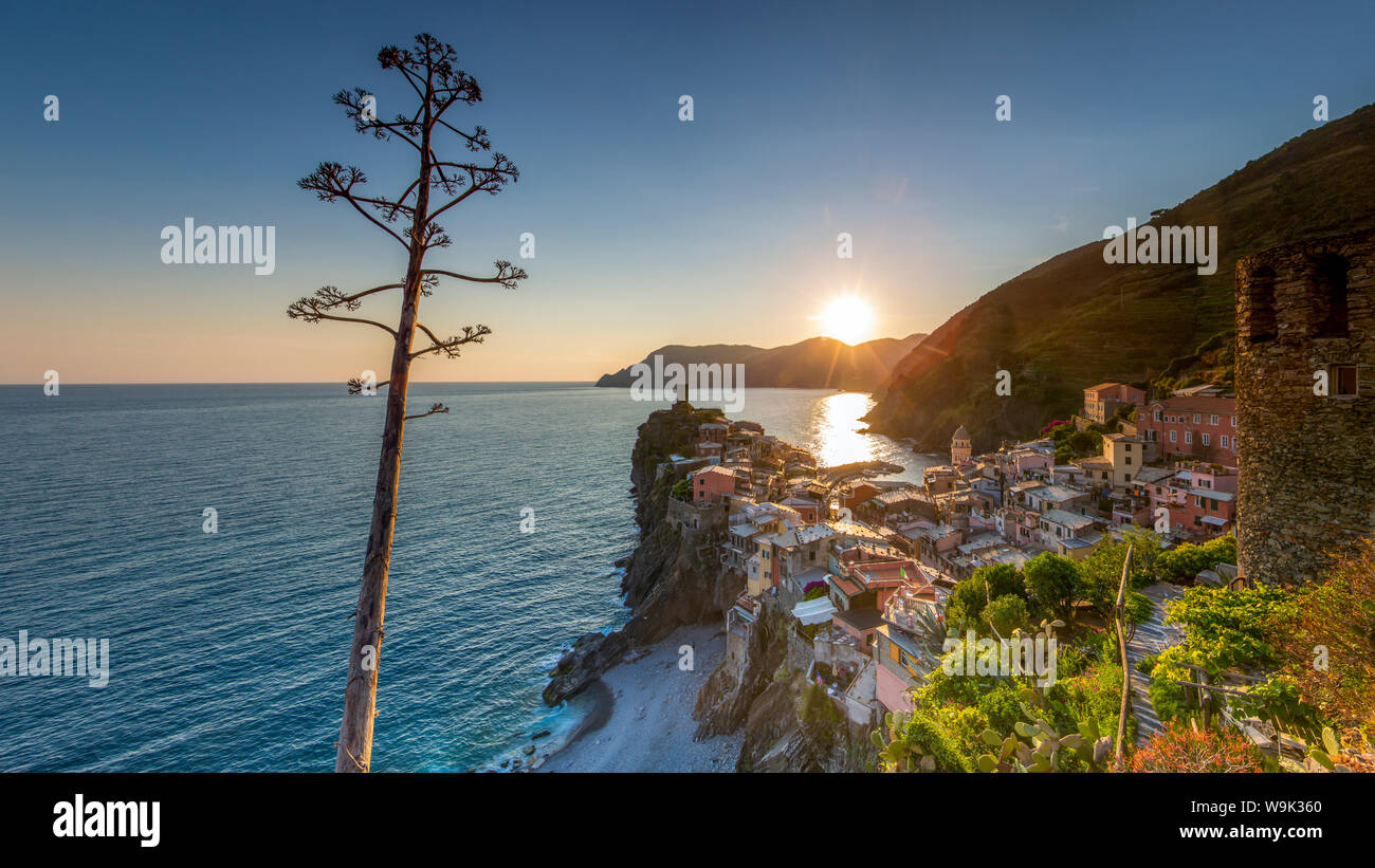 Vernazza, Cinqueterre, UNESCO World Heritage Site, Ligurien, Italien, Europa Stockfoto