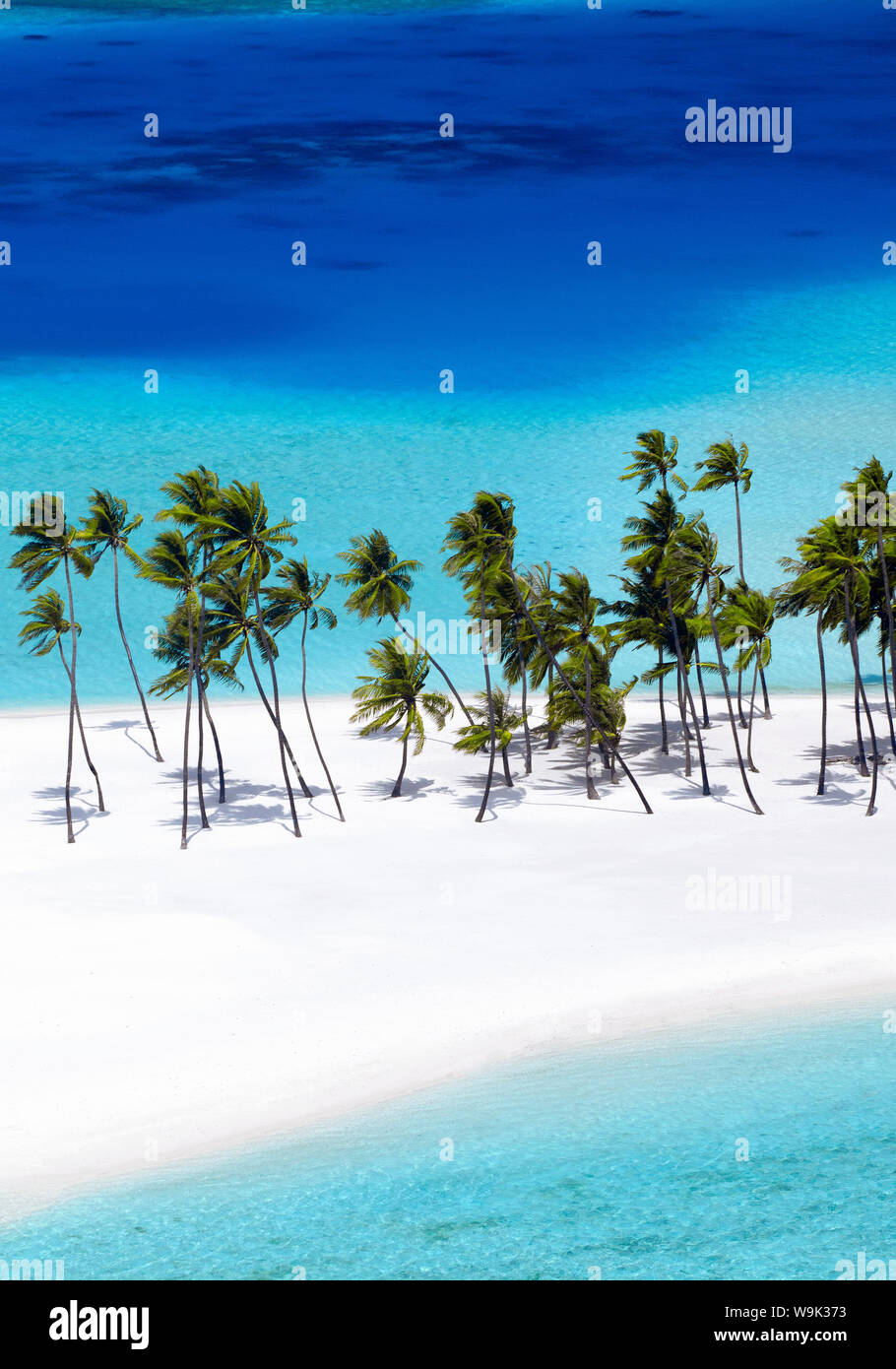 Luftaufnahme von tropischen Strand und Palmen, auf den Malediven, Indischer Ozean, Asien (Drone) Stockfoto
