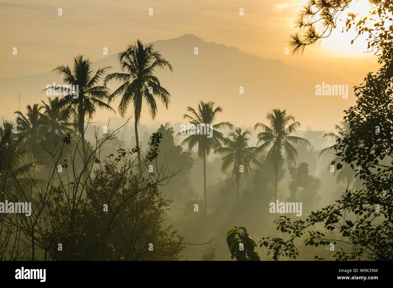 Am frühen Morgen Blick auf die Landschaft rund um den Tempel Komplex von Borobodur, Weltkulturerbe der UNESCO, Java, Indonesien, Südostasien, Asien Stockfoto