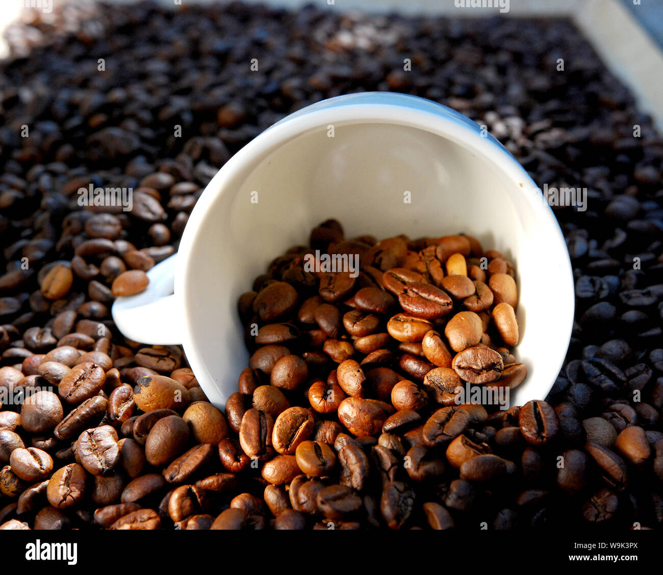 Geröstete Kaffeebohnen Bild eines Stockfoto