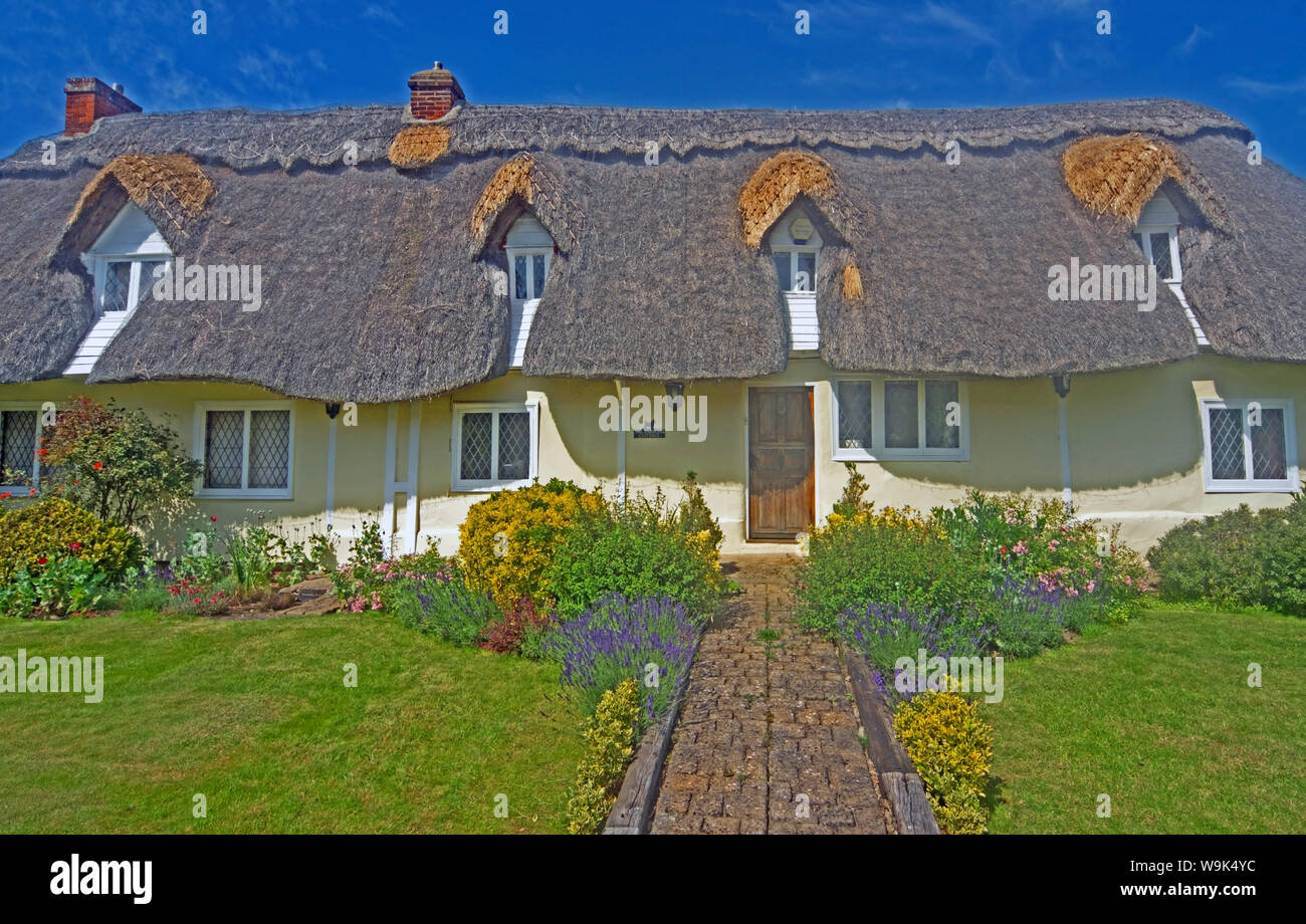 Hatfield Broad Oak Essex Thatch Cottage Stockfoto