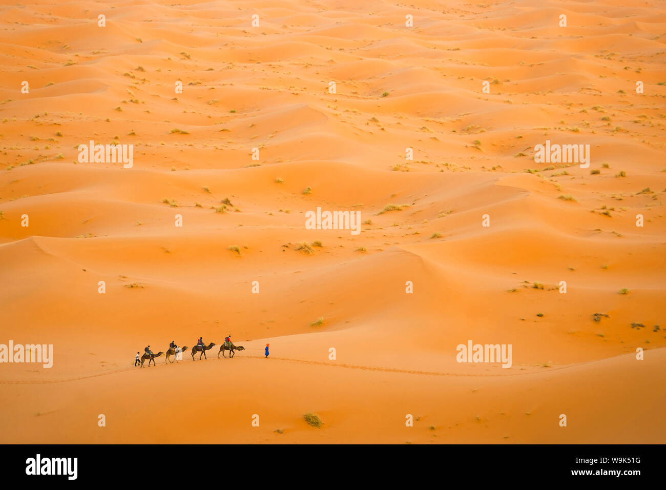 Kamelkarawane in Erg Chebbi Wüste, Wüste Sahara in der Nähe von Fes, Marokko, Nordafrika, Afrika Stockfoto