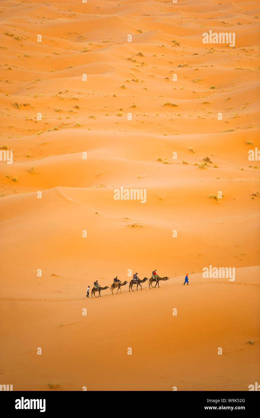 Touristen auf einen Kamelritt in Erg Chebbi Wüste, Wüste Sahara in der Nähe von Fes, Marokko, Nordafrika, Afrika Stockfoto