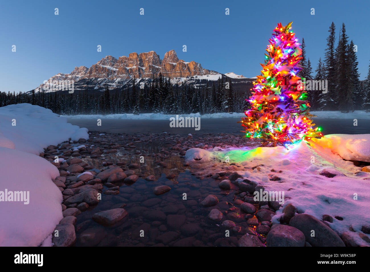 Weihnachtsbaum, Castle Mountain und das Bow River im Winter, Banff National Park, Alberta, Kanada, Nordamerika Stockfoto