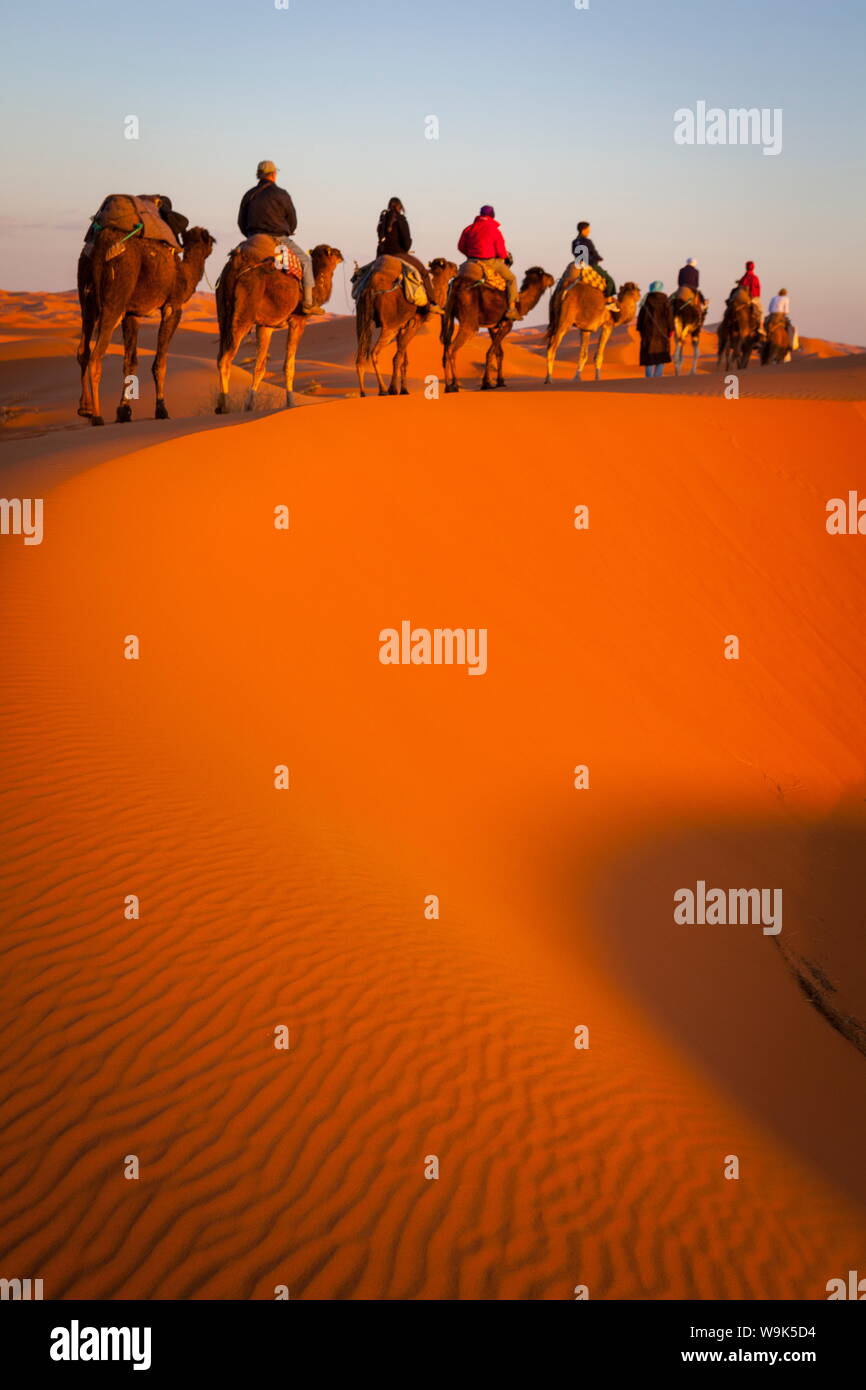 Touristen auf Kamelsafari, Sahara Wüste, Merzouga, Marokko, Nordafrika, Afrika Stockfoto