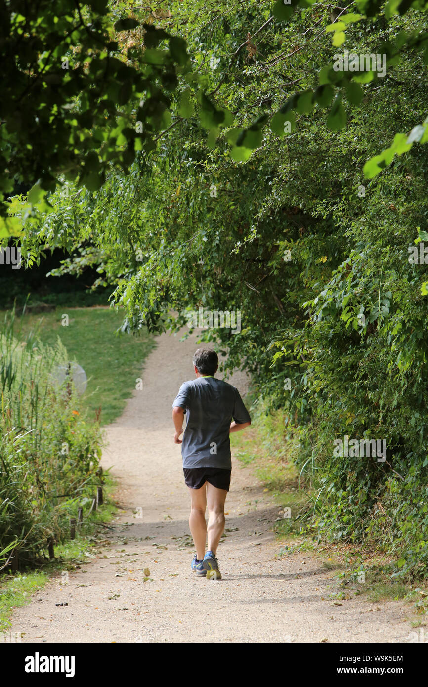 Coureur sur un Sentier en forêt. /Runner auf einem Trail im Wald. Stockfoto