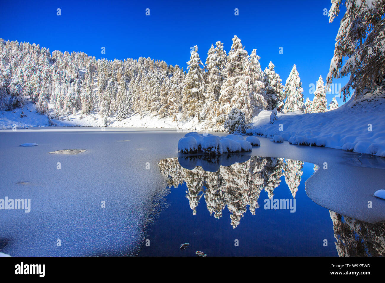 Schneebedeckte Bäume spiegeln sich in der Casera See, Livrio Tal, Orobie Alpen, Valtellina, Lombardei, Italien, Europa Stockfoto