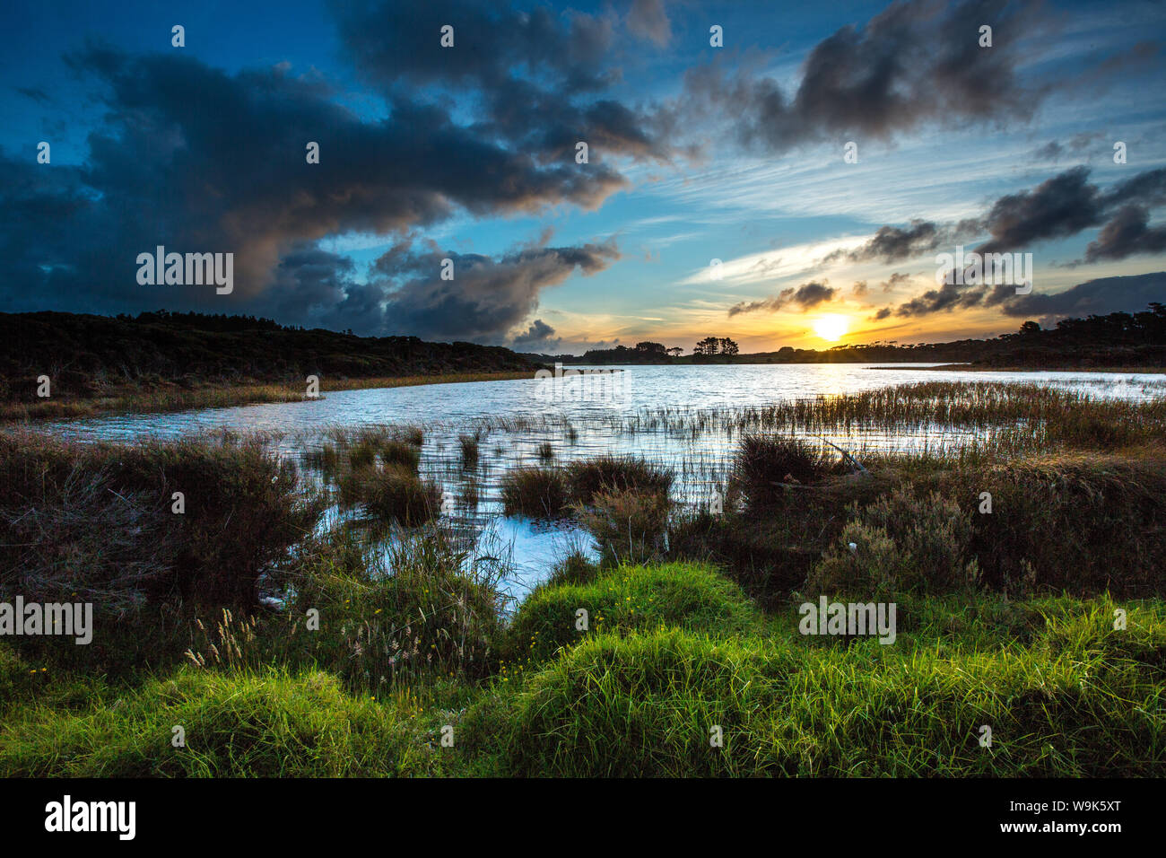 Lake Ngatu, Awanui, Northland Region, North Island, Neuseeland, Pazifik Stockfoto