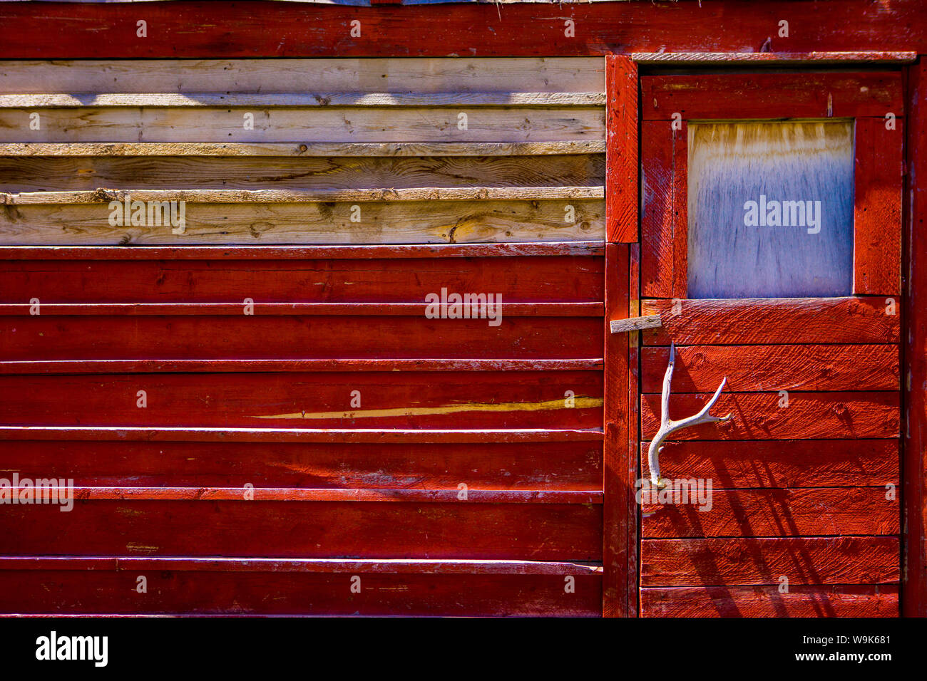 Rote Tür in Polebridge, Montana, Vereinigte Staaten von Amerika, Nordamerika Stockfoto