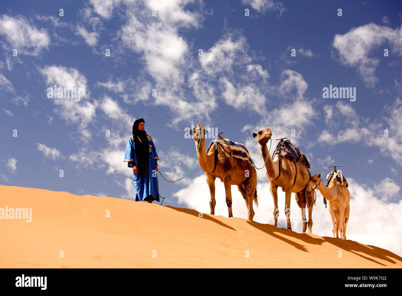Berber Mann in blauem Gewand mit drei Kamele auf dem Kamm einer Düne in der Erg Chebbi Sand Sea in der Nähe von Fes, Marokko, Nordafrika, Afrika Stockfoto