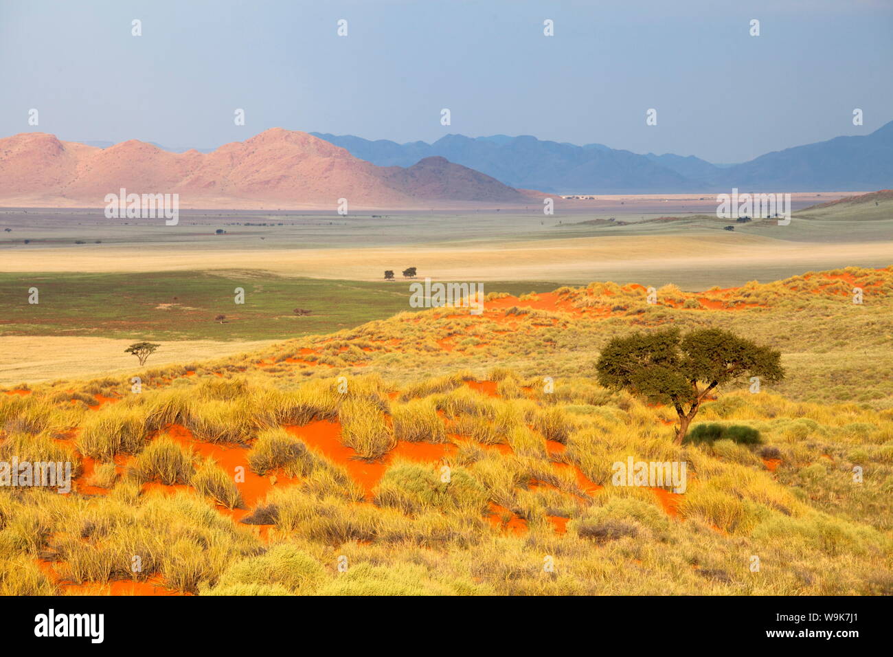 Panoramablick über die Wüstenlandschaft des Namib Rand game reserve gebadet im Abendlicht, Namib Naukluft Park, Namibia, Afrika Stockfoto