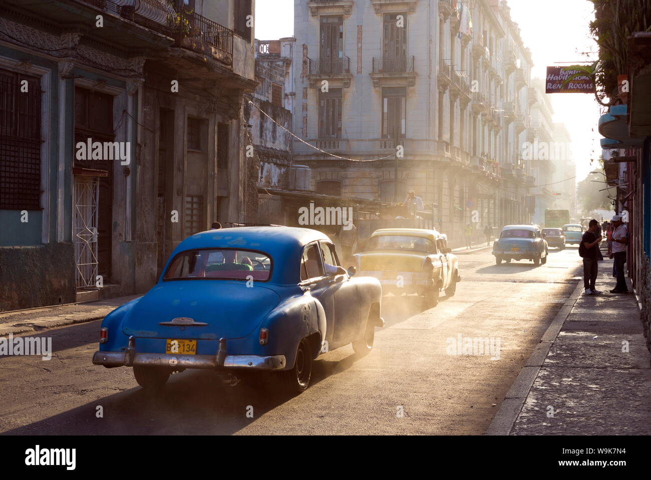 Amerikanische Oldtimer auf Avenue Colon, am frühen Morgen, Havanna Centro, Havanna, Kuba, Karibik, Mittelamerika Stockfoto