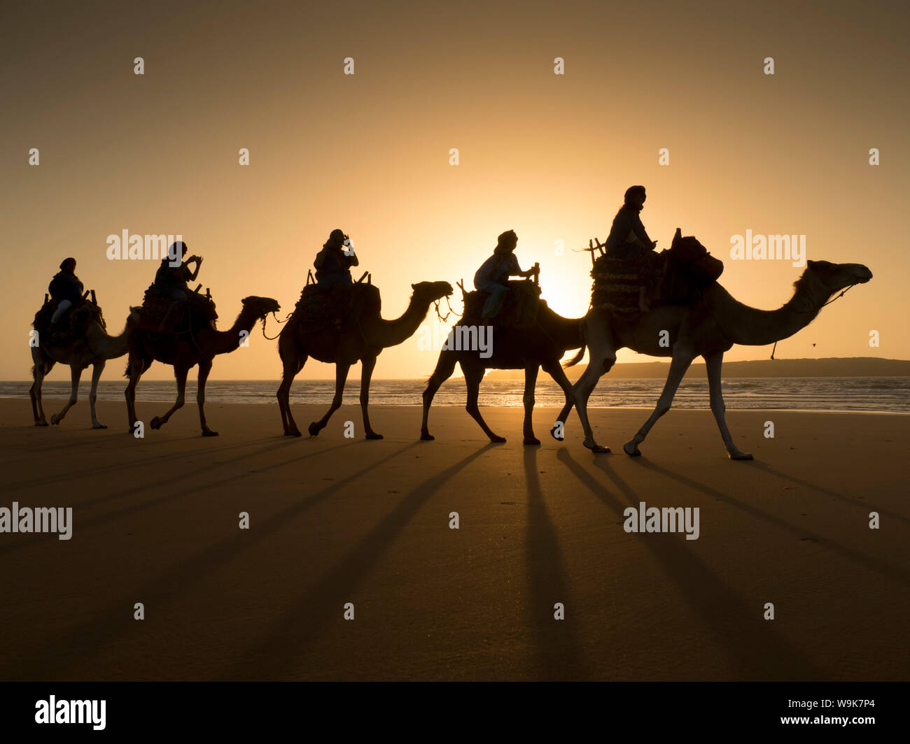 Strand Kamelritt, Essaouira, Marokko, Nordafrika, Afrika Stockfoto