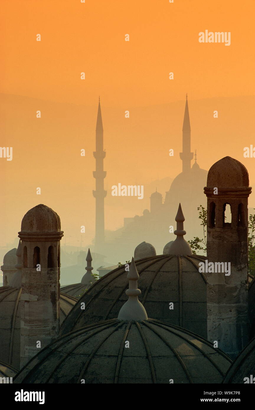 Blick von Suleymaniye Komplex, den Bosporus, Istanbul, Türkei, Europa Stockfoto