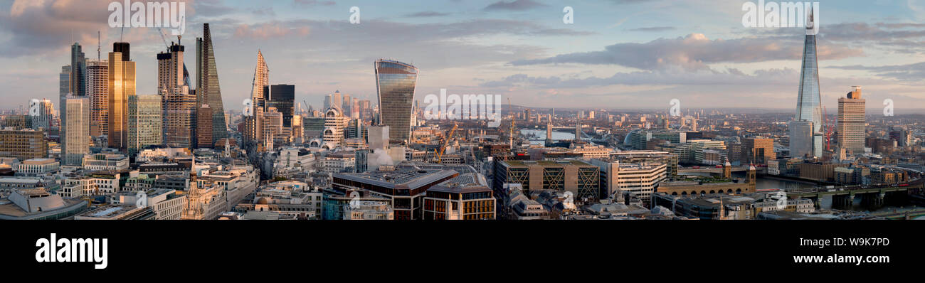 Stadt Panorama von St. Pauls, City of London, London, England, Vereinigtes Königreich, Europa Stockfoto
