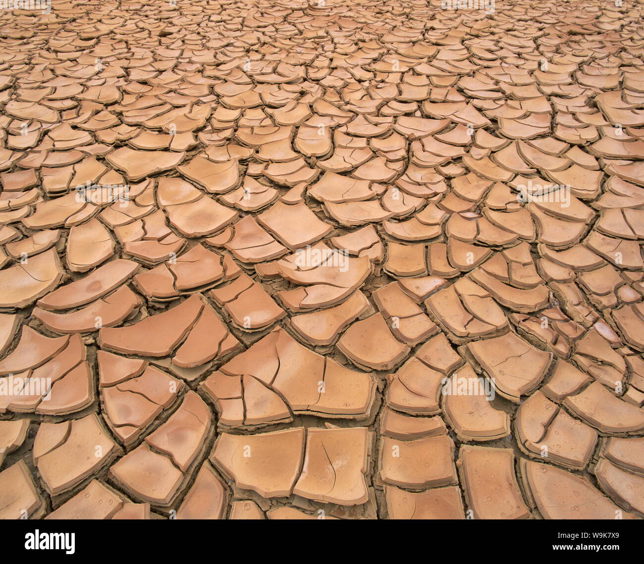 Trockene Landschaft für trockene, rissige Erde in eine Dürre, South Australia, Australien, Pazifik Stockfoto