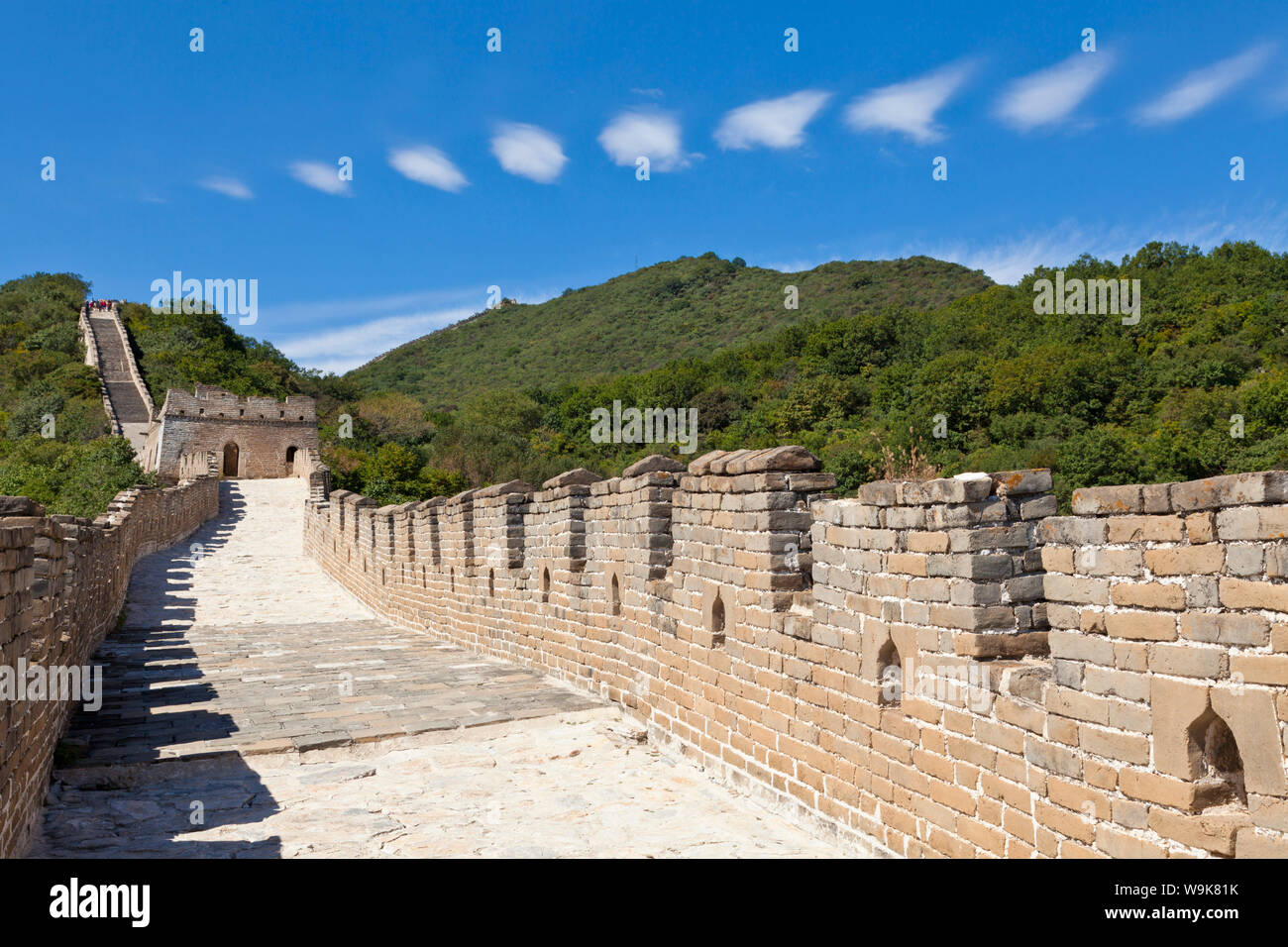 Neu Abschnitt der Großen Mauer von China wiederhergestellt, UNESCO-Weltkulturerbe, Mutianyu, Peking, China, Asien Stockfoto