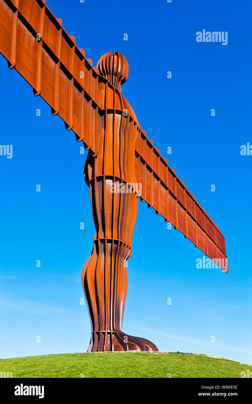 Der Engel des Nordens Skulptur von Antony Gormley, Gateshead, Newcastle-upon-Tyne Tyne und Wear, England, Vereinigtes Königreich, Europa Stockfoto